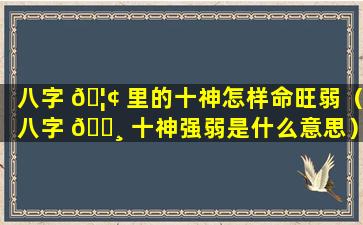 八字 🦢 里的十神怎样命旺弱（八字 🌸 十神强弱是什么意思）